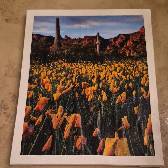 Other - Vibrant Orange Flower Field Canvas Art